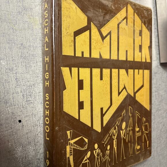 Fort Worth TX Paschal High School 1968 Yearbook Annual Purple Panthers 60s Book - Picture 10 of 10